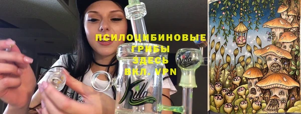 гашик Абаза